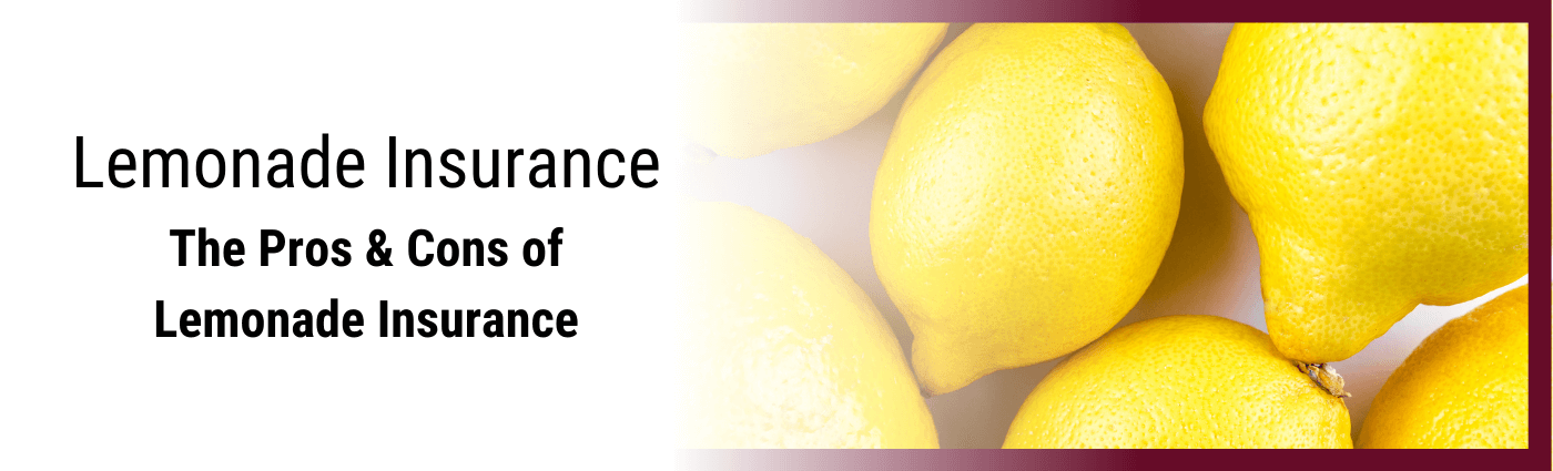 The Pros and Cons to Lemonade insurance app.