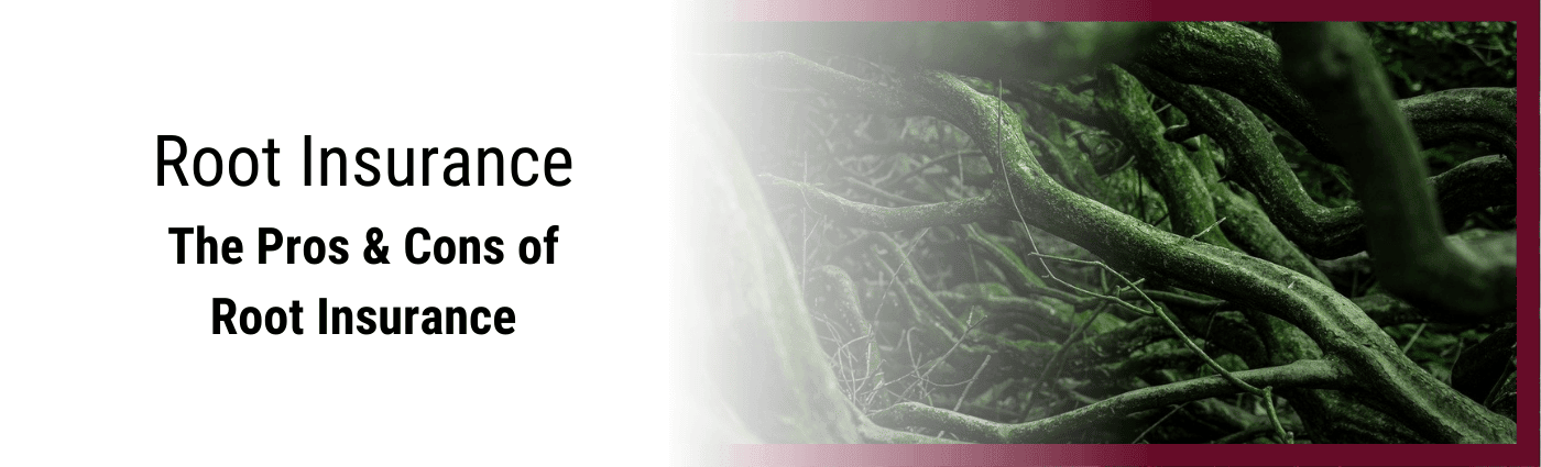 Pros and cons of root insurance app.